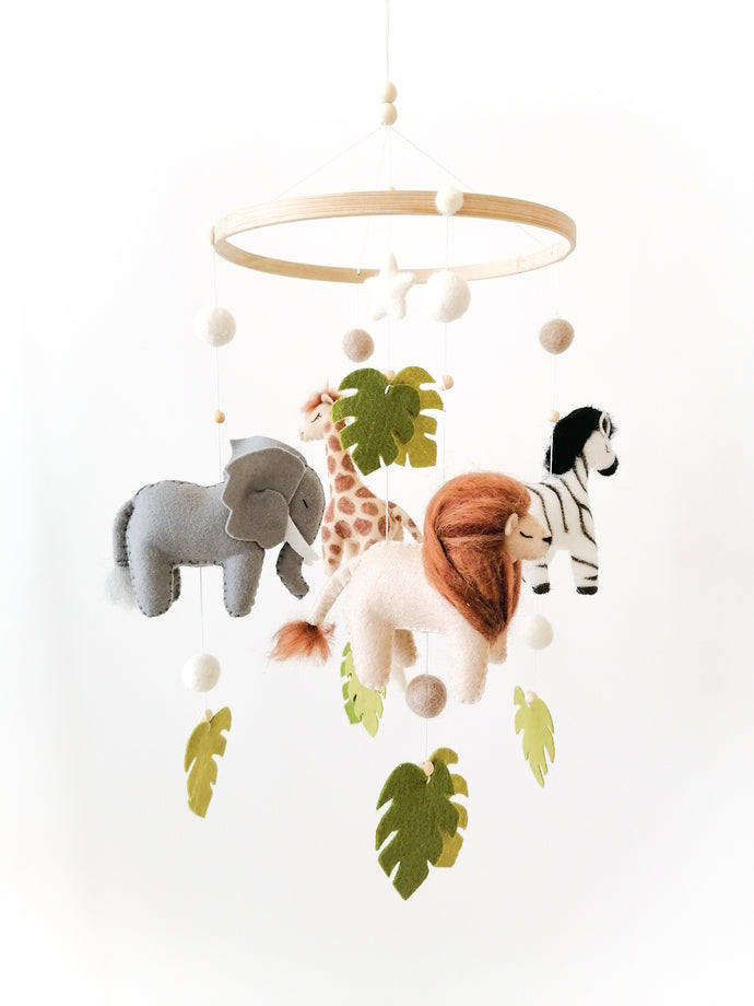 Safari Deluxe