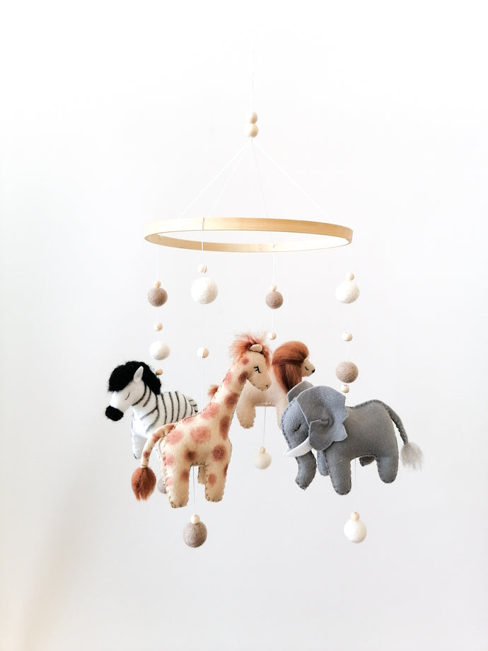 Boho Safari